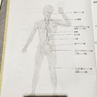 画像1285