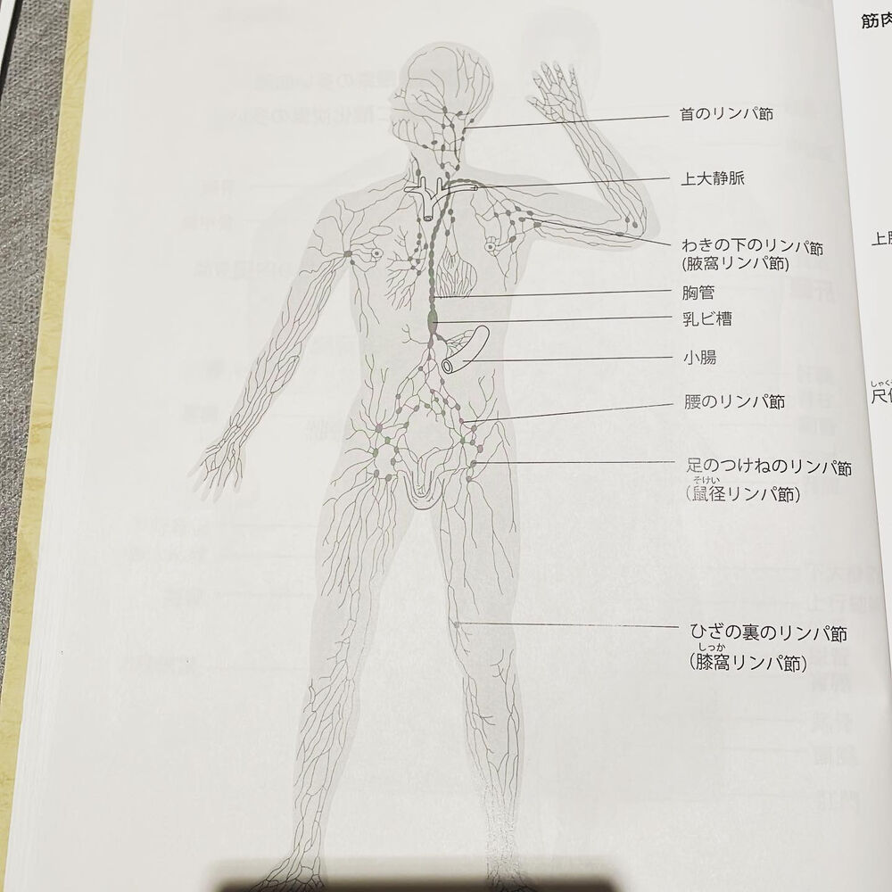 画像1285